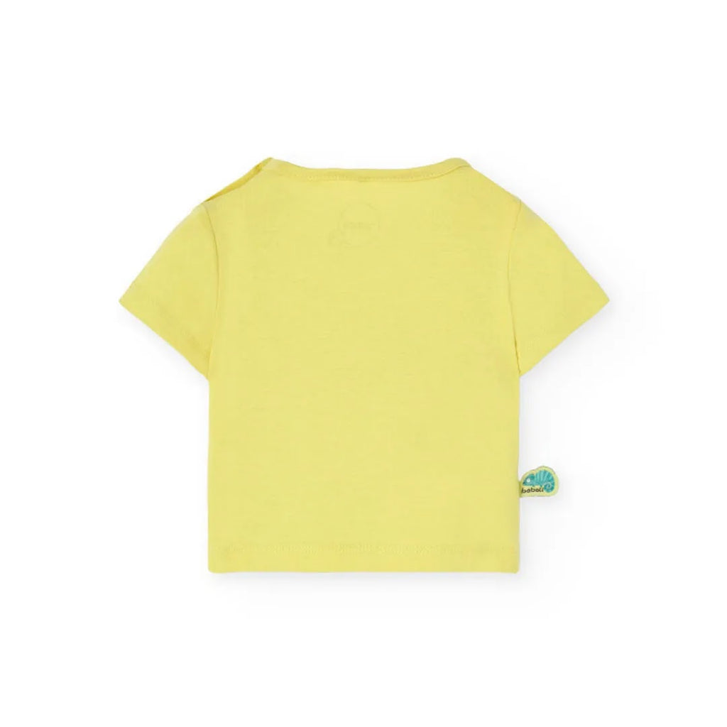 Completo t-shirt mezza manica e pantaloncino coccodrillo