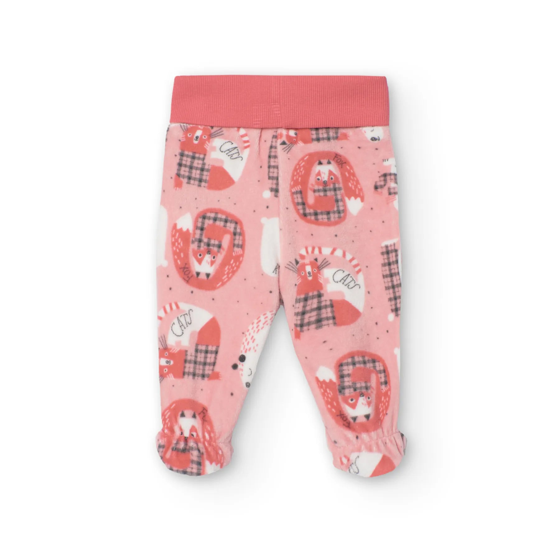 Set neonata