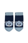 Calzini Preston the Bear