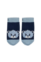 Calzini Preston the Bear