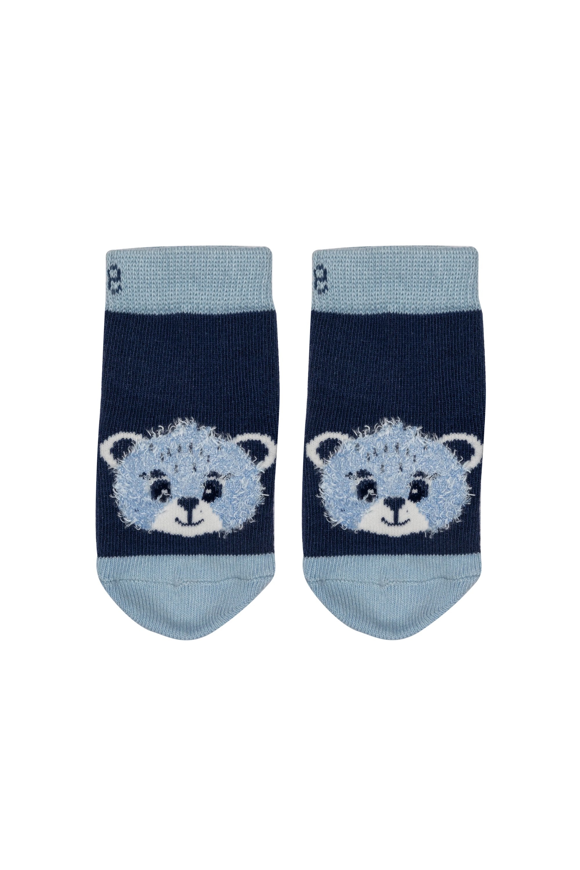 Calzini Preston the Bear
