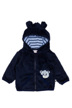 Calzini Preston the Bear