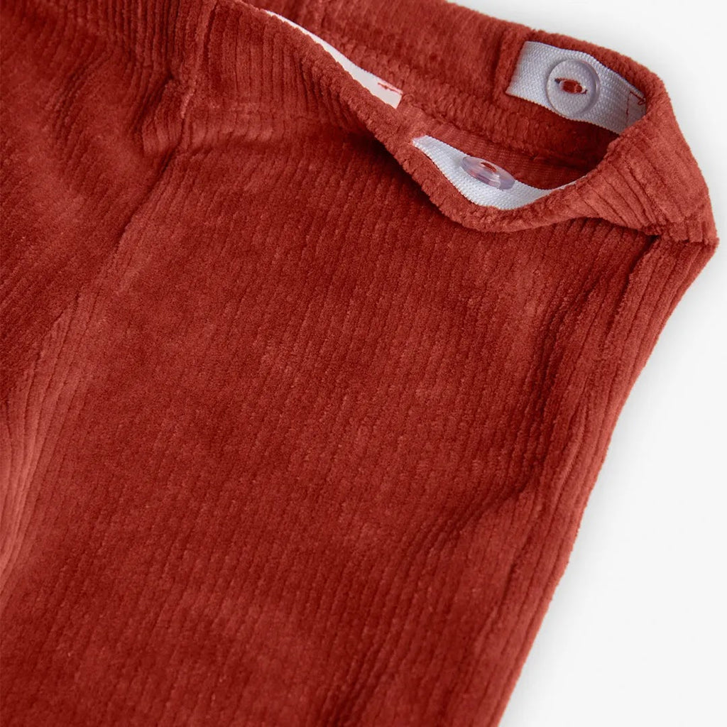 Pantalone linea dritta velluto a coste terracotta