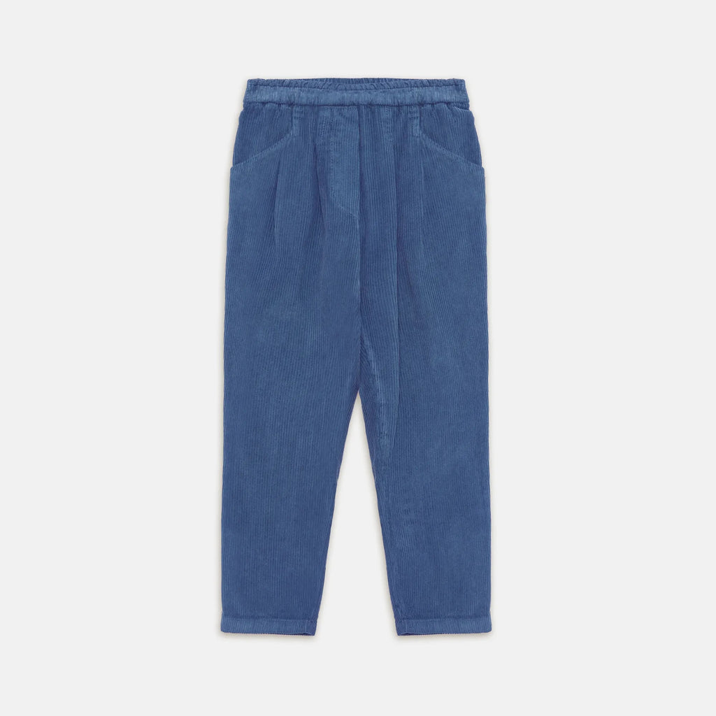 Pantalone basic velluto a coste blu