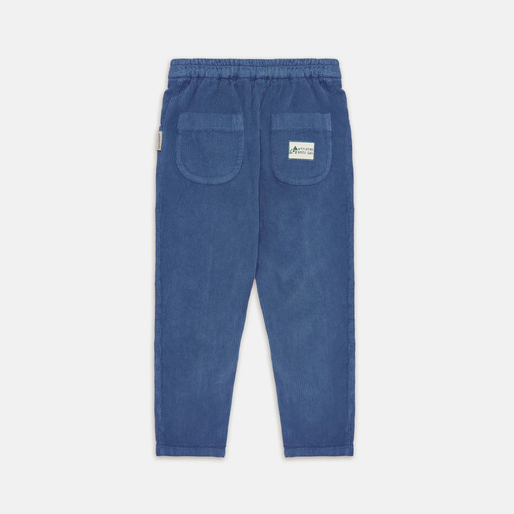 Pantalone basic velluto a coste blu