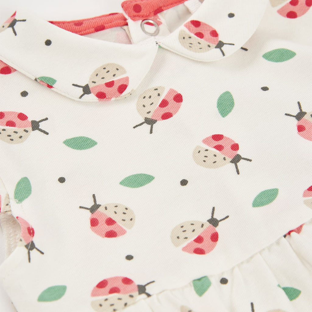 Vestito neonata cotone coccinelle