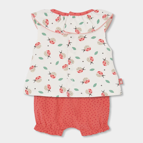 Completo neonata t-shirt giromanica con colletto e culotte