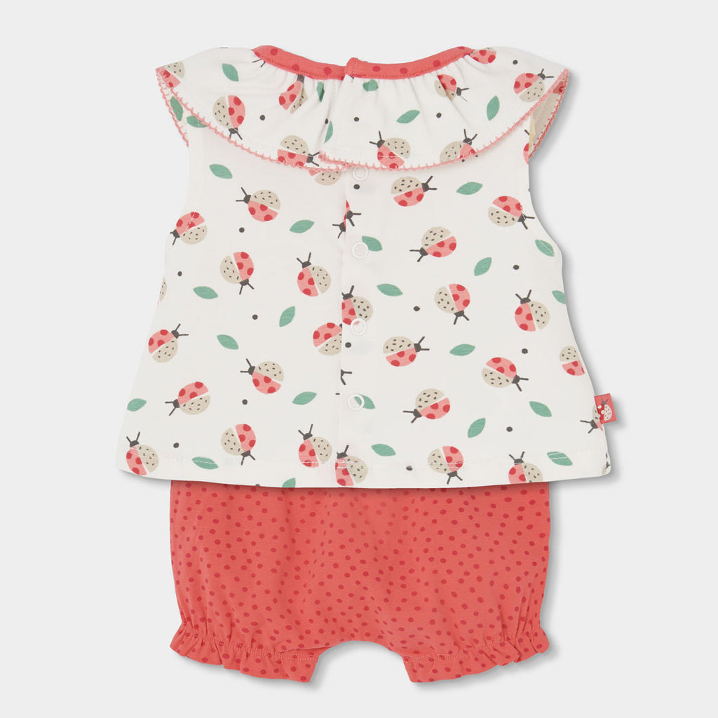 Completo neonata t-shirt giromanica con colletto e culotte