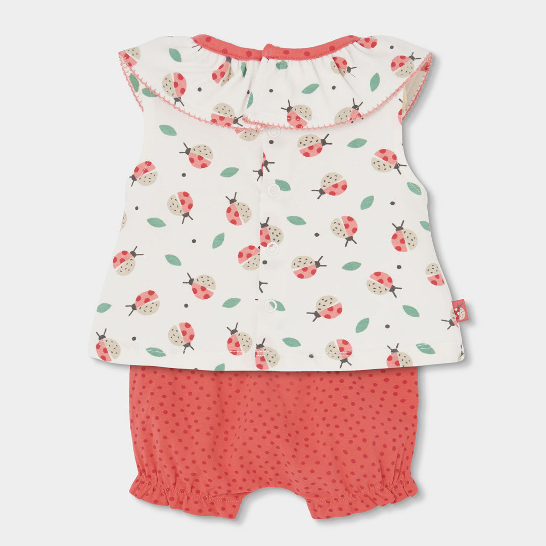 Completo neonata t-shirt giromanica con colletto e culotte