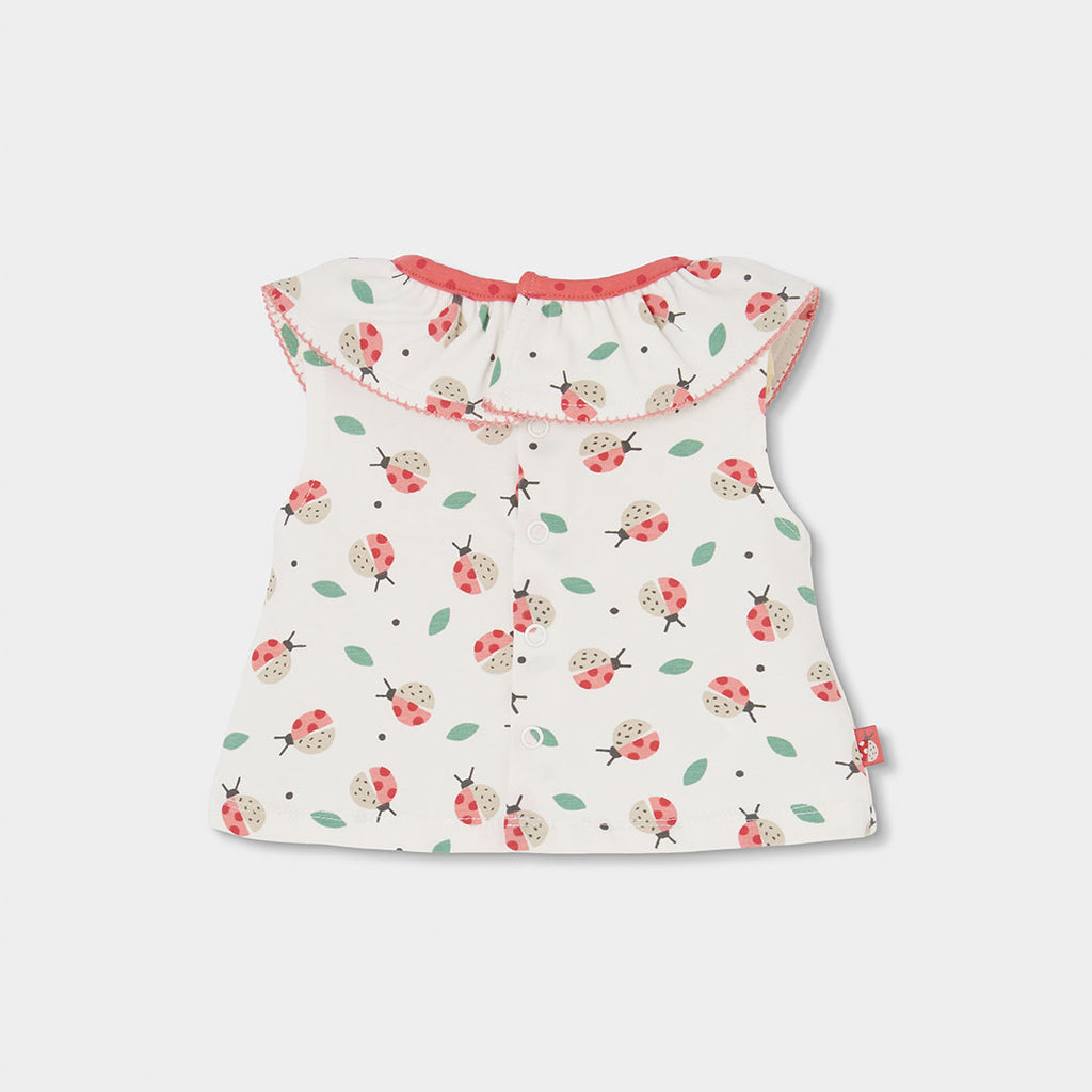 Completo neonata t-shirt giromanica con colletto e culotte