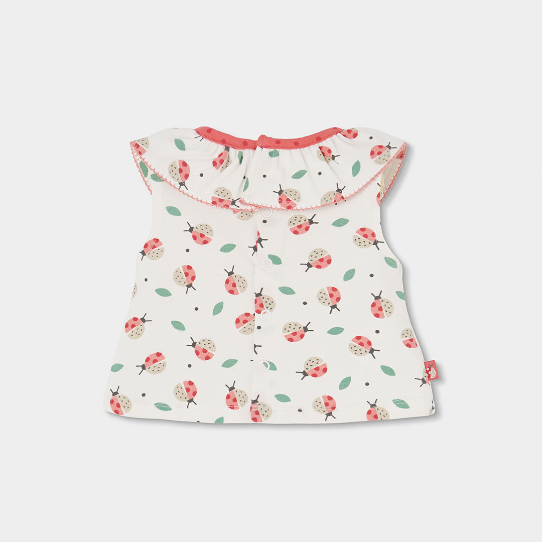 Completo neonata t-shirt giromanica con colletto e culotte