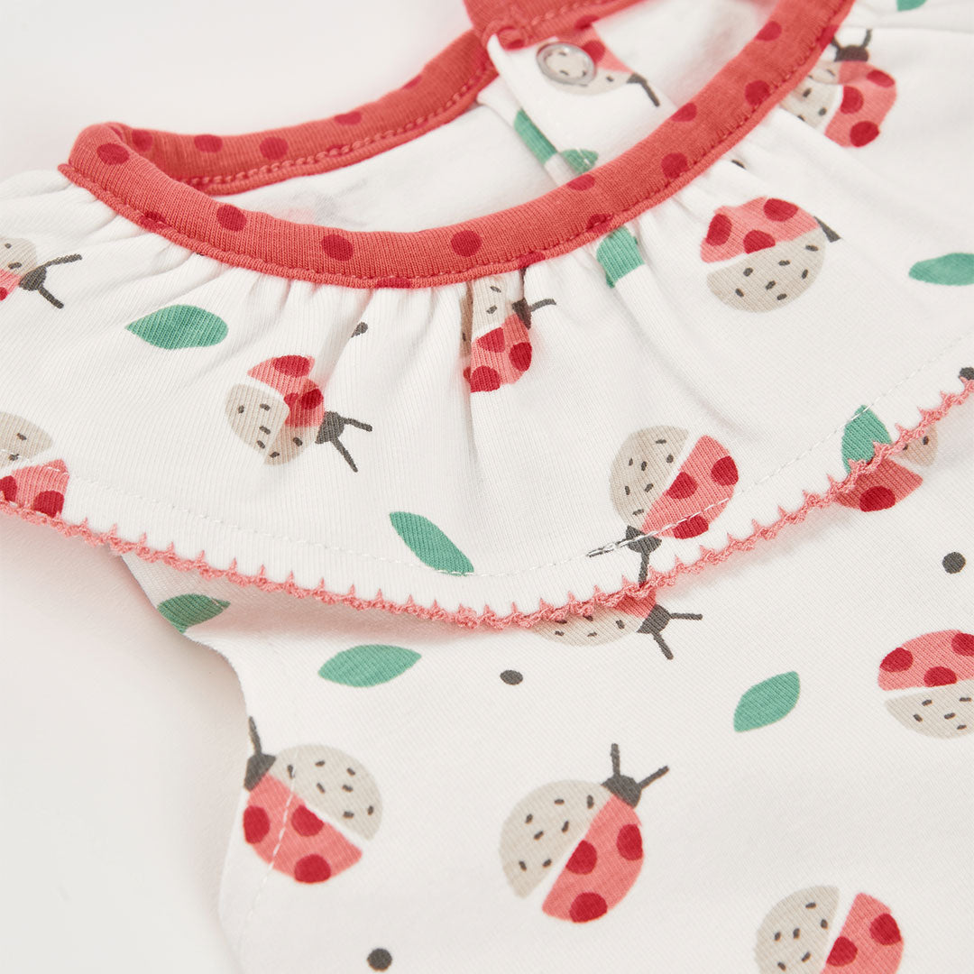 Completo neonata t-shirt giromanica con colletto e culotte