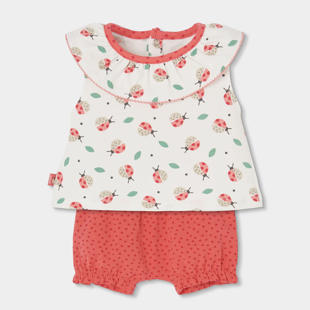 Completo neonata t-shirt giromanica con colletto e culotte