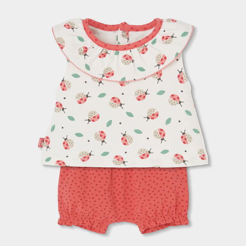 Completo neonata t-shirt giromanica con colletto e culotte
