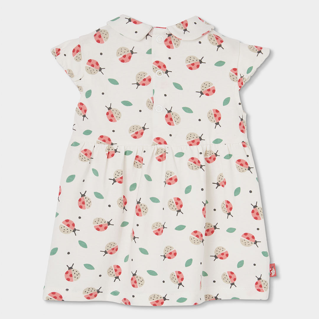 Vestito neonata cotone coccinelle