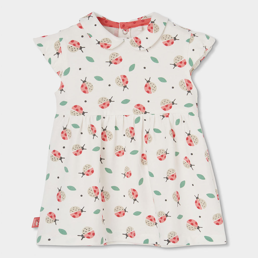 Vestito neonata cotone coccinelle