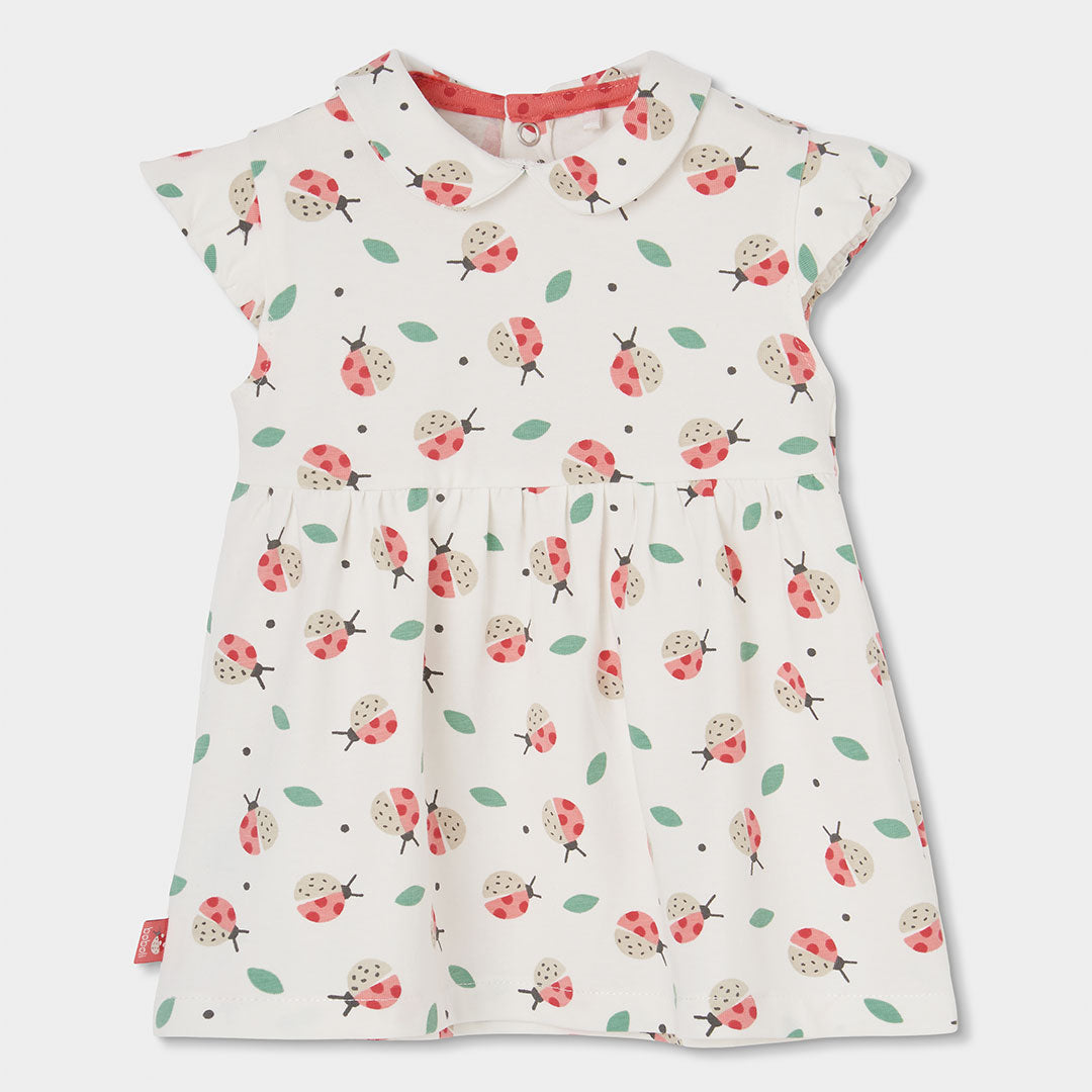 Vestito neonata cotone coccinelle