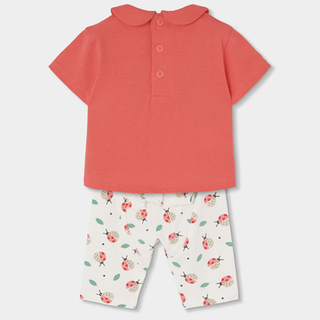 Completo neonata t-shirt mezza manica e legging 3/4