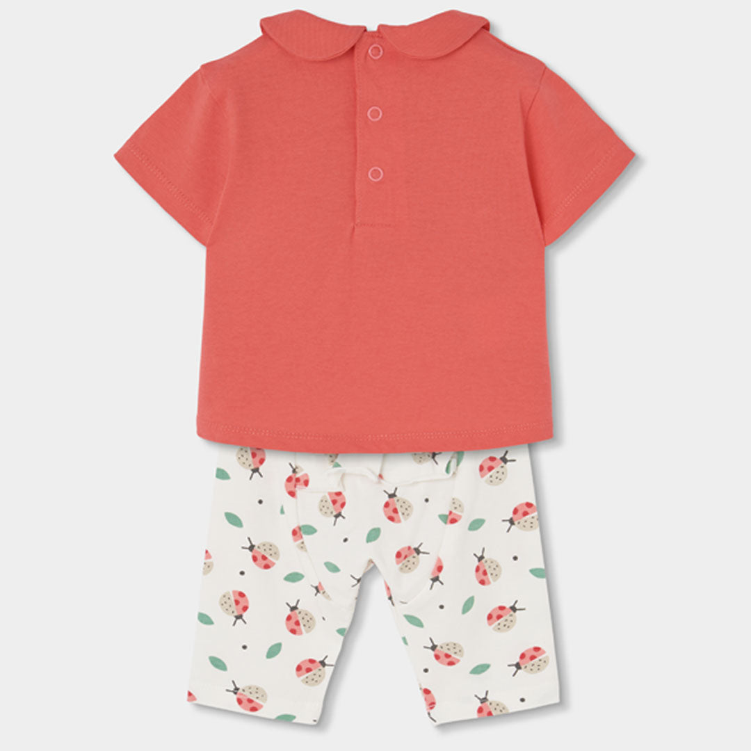 Completo neonata t-shirt mezza manica e legging 3/4