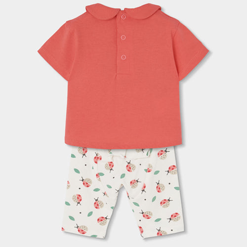 Completo neonata t-shirt mezza manica e legging 3/4