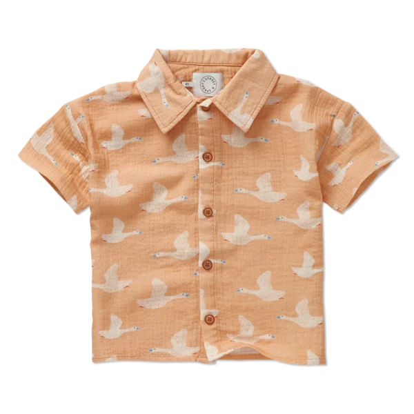 Camicia stampa oca